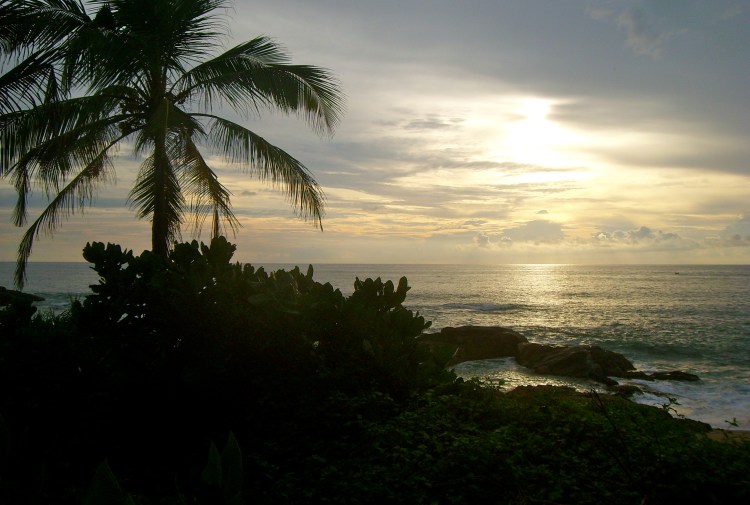 Rowing-Through-Life-Out-of-the-Unreal-Shadows-of the-Night-1