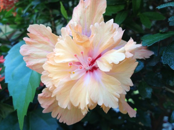 RTL_If You Don't Change Direction